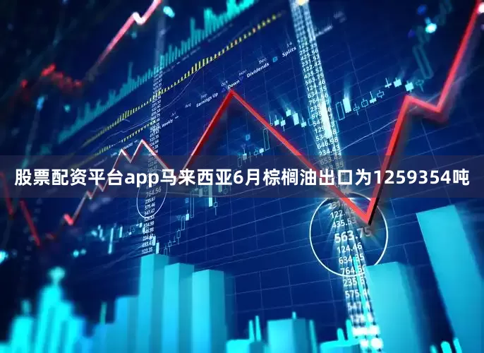 股票配资平台app马来西亚6月棕榈油出口为1259354吨